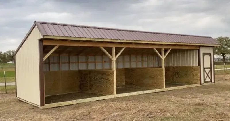 Livestock Shed 16
