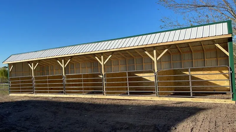 Livestock Shed 19