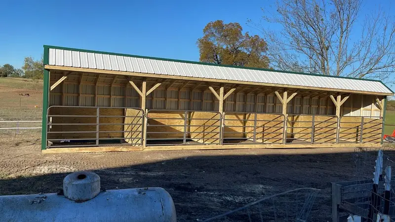 Livestock Shed 20