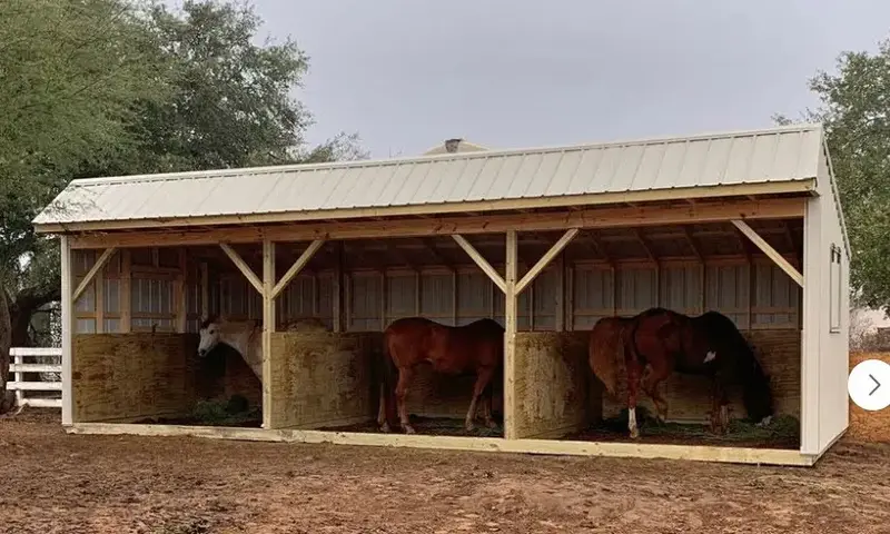 Livestock Shed 24
