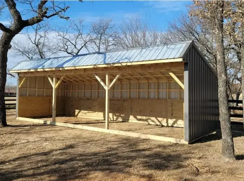 Livestock Shed 25