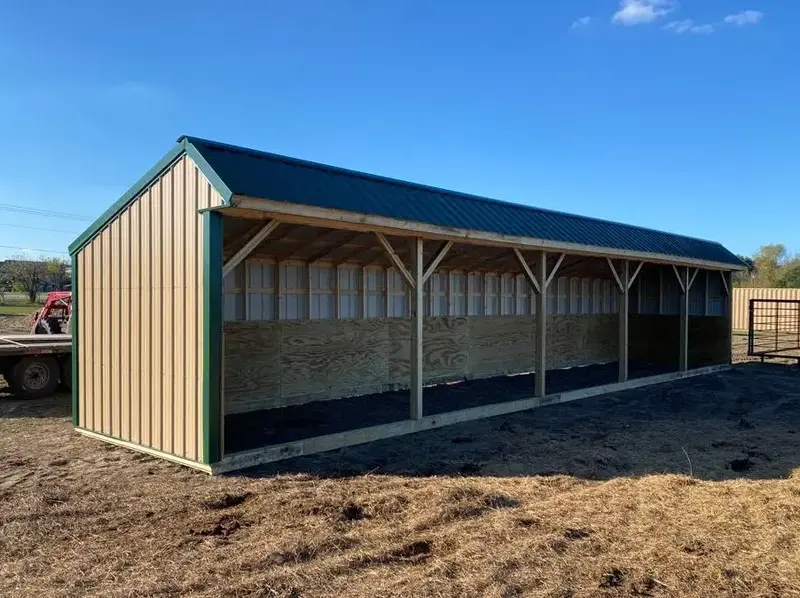 Livestock Shed 26